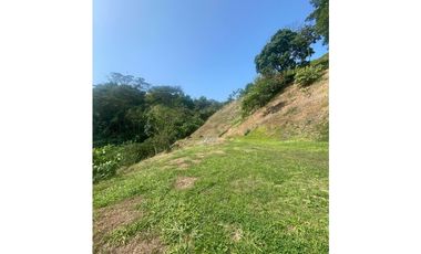 VENTA DE LOTE VA SANTGUEDA PALESTINA | LOTE EN VENTA