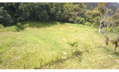 Lote en Amaga (Suroeste Antioqueño)