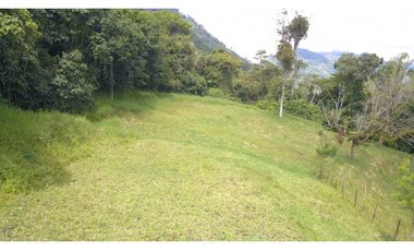 Lote en Amaga (Suroeste Antioqueño)