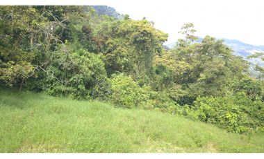 Lote en Amaga (Suroeste Antioqueño)