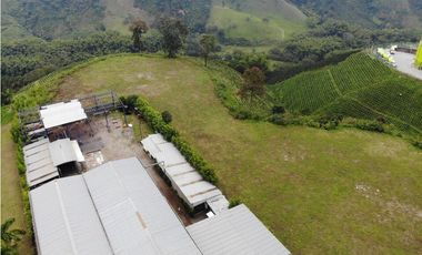 Se Vende Lote Uso De Suelo Industrial Sur de Armenia
