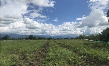 Se Vende Lote Rural Vereda Murillo Armenia Quindio