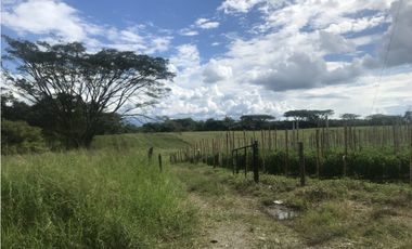 Se Vende Lote Rural Vereda Murillo Armenia Quindio
