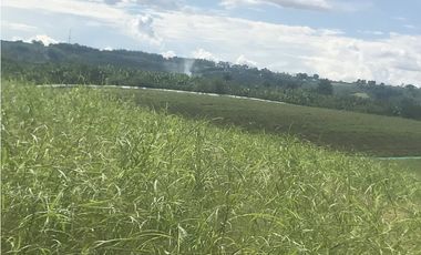 Se Vende Lote Rural Vereda Murillo Armenia Quindio