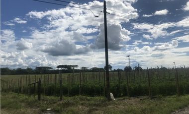 Se Vende Lote Rural Vereda Murillo Armenia Quindio