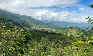 Se Vende Finca Hotel Buenavista Quindio