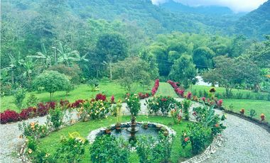 Se Vende Finca Hotel Buenavista Quindio