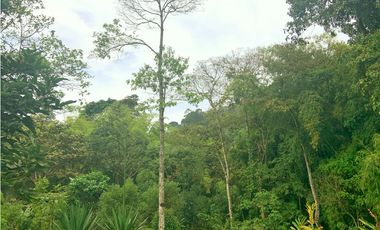 Se Vende Finca Hotel Buenavista Quindio