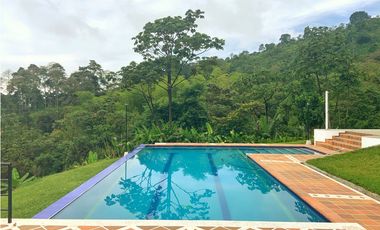 Se Vende Finca Hotel Buenavista Quindio