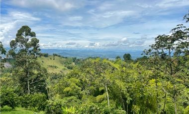 Se Vende Finca Hotel Buenavista Quindio