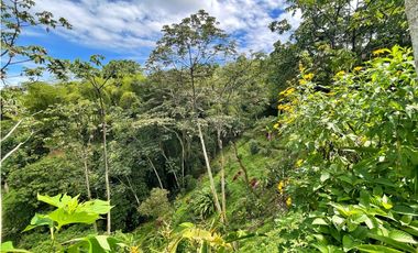 Se Vende Finca Hotel Buenavista Quindio