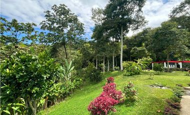 Se Vende Finca Hotel Buenavista Quindio
