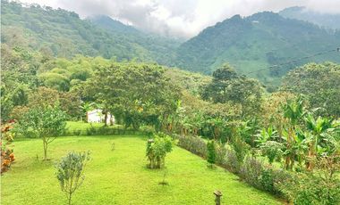 Se Vende Finca Hotel Buenavista Quindio