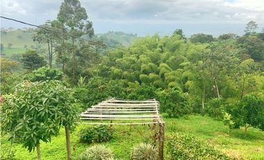 Se Vende Finca Hotel Buenavista Quindio
