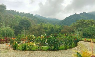 Se Vende Finca Hotel Buenavista Quindio