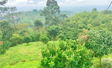 Se Vende Finca Hotel Buenavista Quindio