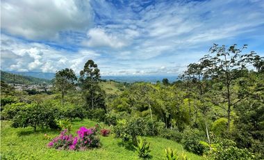 Se Vende Finca Hotel Buenavista Quindio