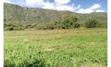 VENTA 78 HECTAREAS SAN LUIS AGRICULTURA ECOLOGICA TURISMO ORGANICO
