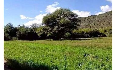 VENTA 78 HECTAREAS SAN LUIS AGRICULTURA ECOLOGICA TURISMO ORGANICO