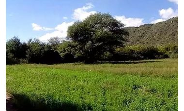 VENTA 78 HECTAREAS SAN LUIS AGRICULTURA ECOLOGICA TURISMO ORGANICO