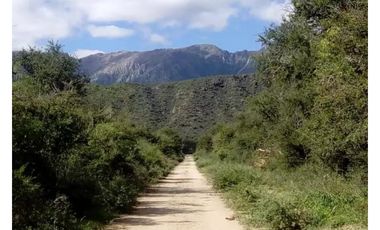 VENTA 78 HECTAREAS SAN LUIS AGRICULTURA ECOLOGICA TURISMO ORGANICO