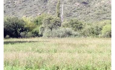 VENTA 78 HECTAREAS SAN LUIS AGRICULTURA ECOLOGICA TURISMO ORGANICO