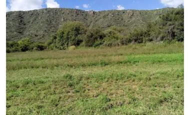 VENTA 78 HECTAREAS SAN LUIS AGRICULTURA ECOLOGICA TURISMO ORGANICO