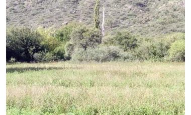 VENTA 78 HECTAREAS SAN LUIS AGRICULTURA ECOLOGICA TURISMO ORGANICO