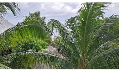 APARTAMENTO GIRARDOT CMARCA VENTA 175 M2 ZONA RESIDENCIAL NORTE video