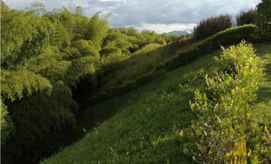 VENTA CASA CAMPESTRE VIA  QUIMBAYA  ALCALA (V.)