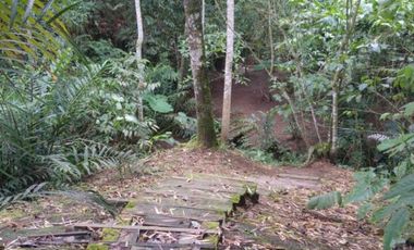 VENTA CASA CAMPESTRE - VERDEDA BORODINO - VIA PEREIRA