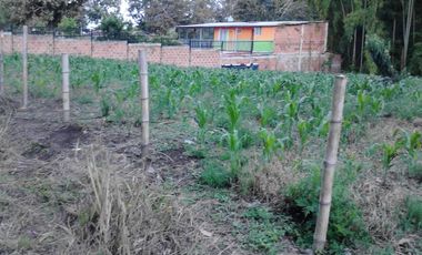 VENTA LOTE MIRADOR DE LAS PALMAS  TEBAIDA