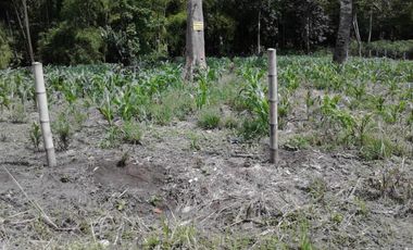 VENTA LOTE MIRADOR DE LAS PALMAS  TEBAIDA
