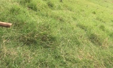 VENTA LOTE  SECTOR VEREDA LA POPA  LA TEBAIDA Q.