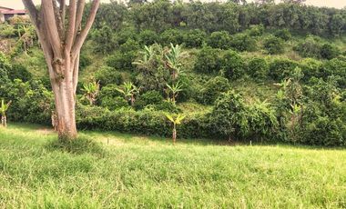 VENTA LOTE  SECTOR VEREDA LA POPA  LA TEBAIDA Q.