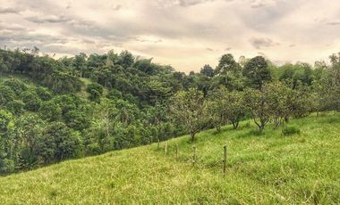 VENTA LOTE  SECTOR VEREDA LA POPA  LA TEBAIDA Q.