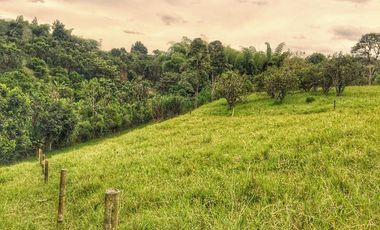 VENTA LOTE  SECTOR VEREDA LA POPA  LA TEBAIDA Q.