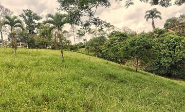 VENTA LOTE  SECTOR VEREDA LA POPA  LA TEBAIDA Q.
