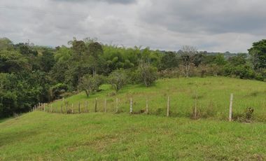 VENTA LOTE  SECTOR VEREDA LA POPA  LA TEBAIDA Q.