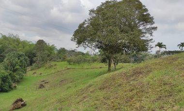 VENTA LOTE  SECTOR VEREDA LA POPA  LA TEBAIDA Q.