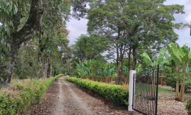 VENTA LOTE  SECTOR VEREDA LA POPA  LA TEBAIDA Q.