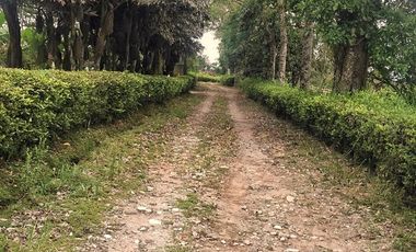 VENTA LOTE  SECTOR VEREDA LA POPA  LA TEBAIDA Q.
