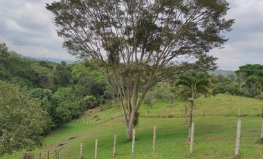 VENTA LOTE  SECTOR VEREDA LA POPA  LA TEBAIDA Q.