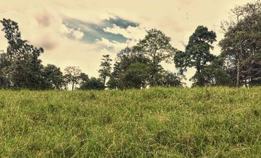 VENTA LOTE  SECTOR VEREDA LA POPA  LA TEBAIDA Q.