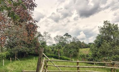 VENTA LOTE  SECTOR VEREDA LA POPA  LA TEBAIDA Q.