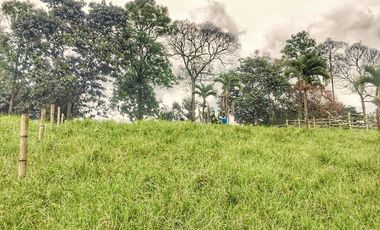 VENTA LOTE  SECTOR VEREDA LA POPA  LA TEBAIDA Q.