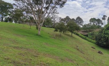 VENTA LOTE  SECTOR VEREDA LA POPA  LA TEBAIDA Q.
