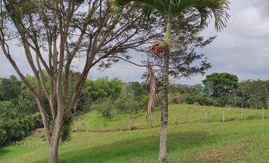 VENTA LOTE  SECTOR VEREDA LA POPA  LA TEBAIDA Q.