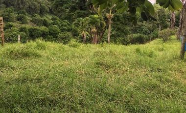 VENTA LOTE  SECTOR VEREDA LA POPA  LA TEBAIDA Q.