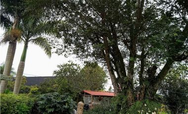 Se Vende Casa Lote Avenida Centenario